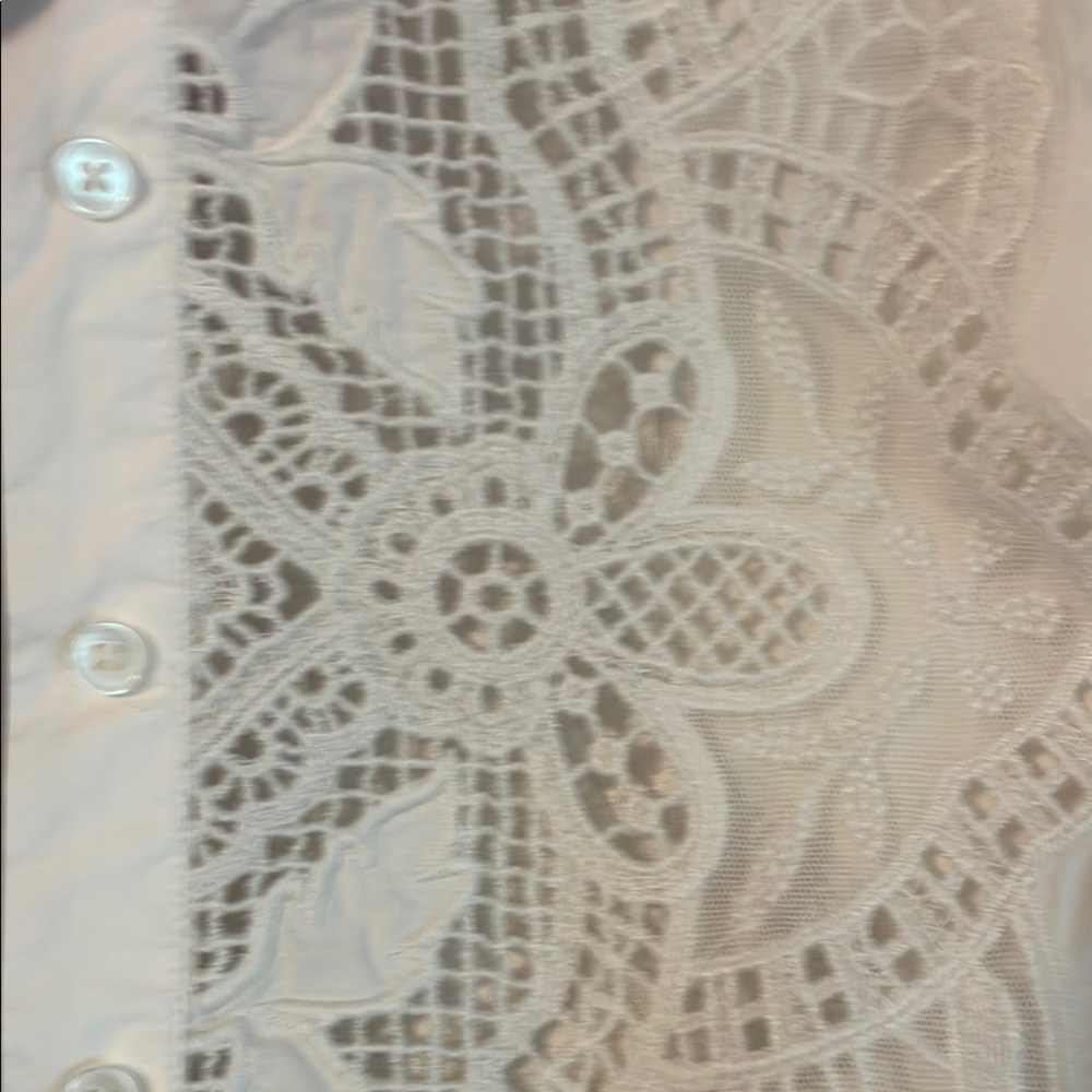 Banana Republic Marianna Lace Blouse - Picture 8 of 14